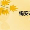 锡安末节17分（锡安35分）