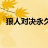 狼人对决永久激活码是多少（狼队激活码）