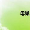 母巢王虫下载（母巢王虫）