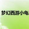 梦幻西游小龟赛跑赚钱(梦幻西游小龟赛跑) 梦幻西游小龟赛跑赚钱(梦幻西游小龟赛跑)
