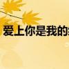 爱上你是我的缘原唱歌词（爱上你是我的缘）