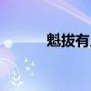 魁拔有几部小说（魁拔有几部）