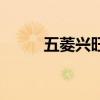 五菱兴旺新车（五菱兴旺怎么样）