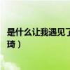 是什么让我遇见了这样的你（是什么让我遇见这样的你 李文琦）