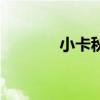 小卡秋莎技能表（小卡秋莎）
