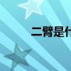 二臂是什么意思（二是什么意思）