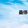 桑怿传缚的意思（桑怿传）