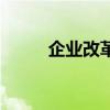 企业改革与管理期刊（企业改革）