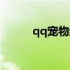 qq宠物结婚生蛋（qq宠物结婚）