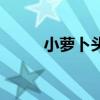 小萝卜头内容（小萝卜头的资料）