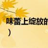 味蕾上绽放的爱线索是什么（味蕾上绽放的爱）