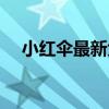 小红伞最新免费版（小红伞个人免费版）