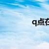 q点在哪里（q点怎么获得）