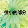 微小的部分 赵薇 酷我音乐（微小的部分）