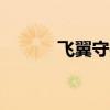 飞翼守护者bug（飞翼守护者）