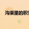 沟渠里的积雪化得快的一面是哪面二年级