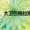 大卫巴格拉斯国际魔术奖（大卫巴格拉斯）