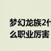 梦幻龙族2什么职业厉害一点（梦幻龙族2什么职业厉害）