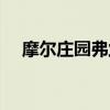 摩尔庄园弗兰克故事（摩尔庄园弗兰克）