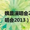 魏晨演唱会2013marry you国产剧（魏晨演唱会2013）