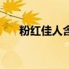 粉红佳人含义（红粉佳人是什么意思）