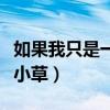 如果我只是一棵小草电视剧（如果我只是一棵小草）