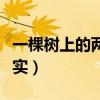 一棵树上的两种果实原文（一棵树上的两种果实）