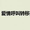 爱情呼叫转移插曲原版（爱情呼叫转移插曲）