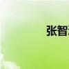 张智浩名字寓意（张智浩）