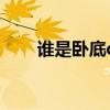 谁是卧底q版兑换码（谁是卧底q版）