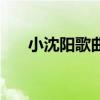 小沈阳歌曲我叫小沈阳（小沈阳歌曲）