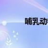 哺乳动物的拼音（动物的拼音）