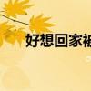 好想回家被打劫是第几集（好想回家）