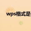 wps格式是什么格式（wps是什么格式）