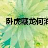 卧虎藏龙何润东版本（卧虎藏龙何润东版）