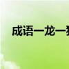 成语一龙一猪的近义词和反义词各是什么