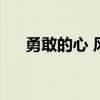 勇敢的心 风笛（勇敢的心爱尔兰风笛）