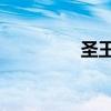 圣王 游戏（圣王好玩吗）