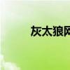 灰太狼网名的意思（灰太狼网名）