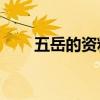 五岳的资料简介20字（五岳的资料）