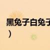 黑兔子白兔子是朋友的动画片（黑兔子白兔子）