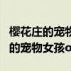 樱花庄的宠物女孩第二季不出的原因（樱花庄的宠物女孩op2）