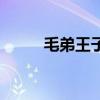 毛弟王子粉丝见面会（毛弟王子）