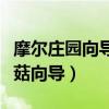 摩尔庄园向导蘑菇使用方法（摩尔庄园超级蘑菇向导）