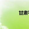 甘肃平凉 马超（凉州马超）