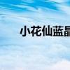 小花仙蓝晶晶变异率（小花仙蓝晶晶）