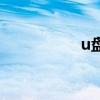 u盘工厂化(u盘工厂) u盘工厂化(u盘工厂)