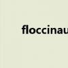 floccinaucinihilipilification怎么读