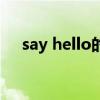 say hello的汉语（say hello什么意思）