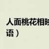 人面桃花相映红打成语（人面桃花相映红猜成语）